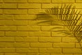 Shadow of tropical palm leaf on yellow brick wall, space for text Royalty Free Stock Photo