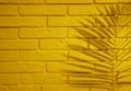 Shadow of tropical palm leaf on yellow brick wall, space for text Royalty Free Stock Photo