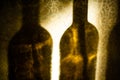 Shadow of two wine bottles with rose on the wall Royalty Free Stock Photo