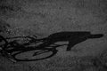 Shadow of an unrecognizable cyclist riding a bicycle on a bike