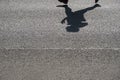 Shadow of an unrecognizable runner on asphalt