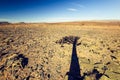 Shadow view of a beautiful quiver tree Aloe dichotoma in Fish River Canyon Nature Park in Namibia, Africa Royalty Free Stock Photo