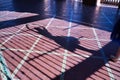 Shadow of a woman classical ballet dancer making figures on metal gratings against the light Royalty Free Stock Photo