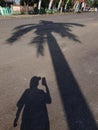 the shadow of a women and an coconut tree