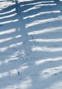 Shadow from a wooden fence on the snow in winter Royalty Free Stock Photo