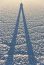 Shadow in the world`s largest salt flat, Salar de Uyuni in Bolivia, photographed at sunrise Royalty Free Stock Photo