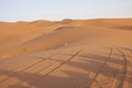 Shadows of camels in the desert sand Royalty Free Stock Photo