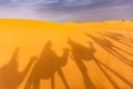 Shadows of camels in the Sahara desert, Morocco Royalty Free Stock Photo