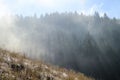 Shadows Cast in Freezing Fog