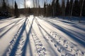 shadows cast over cross country skiing tracks Royalty Free Stock Photo