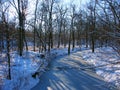 Allerton Park Winter Landscape Royalty Free Stock Photo