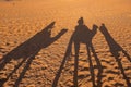 Shadows of a couple on camel dromedaries on the sand dunes