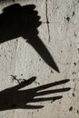 Shadows. Criminal and victim Royalty Free Stock Photo