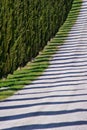 Shadows of cypresses, tuscany Royalty Free Stock Photo