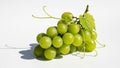 Shadows enhancing the three dimensional look of the grapes and emphasizing Royalty Free Stock Photo