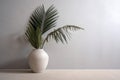 palm vase shadows home sunlight interior decor design contemporary concrete wall tree. Generative AI.