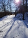 Shadows upon fresh snow Royalty Free Stock Photo