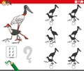 Shadows game with cartoon bird characters