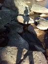 Shadows girl on a sea shore stones