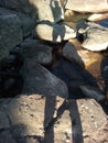 Shadows girl on a sea shore stones