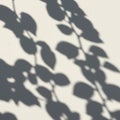 Shadows of leaves and branches are cast onto a textured, pale surface Royalty Free Stock Photo
