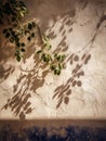 Shadows of Leaves Create Intricate Patterns on a Textured Wall Illuminated by Summer Sunlight Generative AI Royalty Free Stock Photo