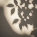Shadows of leaves are projected onto a textured wall, creating a delicate interplay of light and Royalty Free Stock Photo