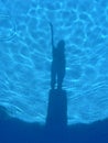 Shadows in the light blue swiming pool. Royalty Free Stock Photo