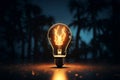 In the shadows, the light bulb outline kindles the flames of creativity Royalty Free Stock Photo