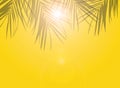 Shadows of palm leaves on a warm yellow background the color of the sun and sand. Heat concept