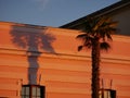 Shadows from palm trees on the facade of a building in the rays of the sun Royalty Free Stock Photo