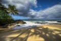 Shadows of palm trees at Secret beach, Maui, Hawaii, USA Royalty Free Stock Photo