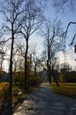 Shadows in park alley during late fall