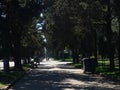 Shadows on the park alley. Quiet rest. Alley in the shade of tall trees Royalty Free Stock Photo