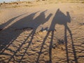 Shadows of people riding dromedaries