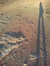 Shadows people on a road steppe