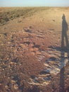 Shadows people on a road steppe