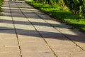 Shadows of a row of green thujas on a granite path, illuminated by the sun in an early autumn morning