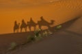 Shadows in the sand of people on a camel through the Sahara desert. Erg Chebbi Merzouga Morocco Royalty Free Stock Photo