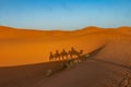 Shadows in the sand of people on a camel through the Sahara desert. Erg Chebbi Merzouga Morocco Royalty Free Stock Photo