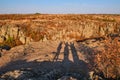 Silhouettes of a happy family on the background of the grand canyon Royalty Free Stock Photo