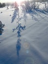 Shadows snow