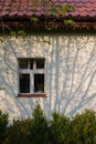 Shadows of spring tree branches on a white wall of an old polish house. Hose facade with window colored in blue.