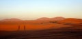 Shadows at sunset in the desert Sahara