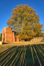 Shadows thru a stockade fence