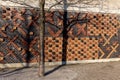 Shadows of a tree in front of a very artful brick wall Royalty Free Stock Photo