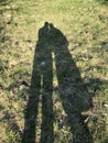 Shadows of two people on grass background. Abstract photo. Creative.