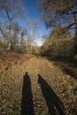 Shadows of two people walking through Westonbirt Arboretum in early winter Royalty Free Stock Photo