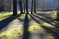 Shadows on vacant lot