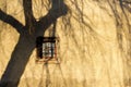 Shadows from a willow trees Royalty Free Stock Photo